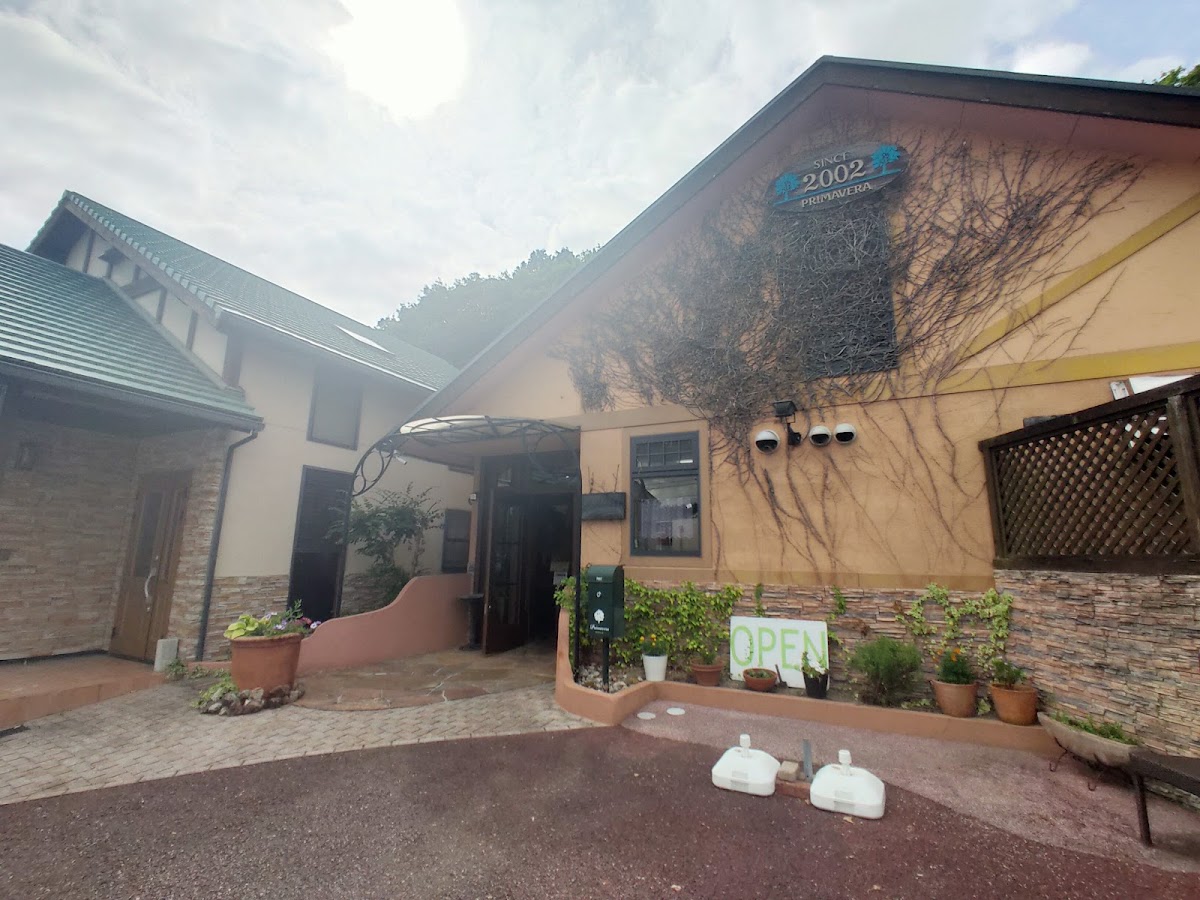 Bakery Restaurants Primavera Photos 2